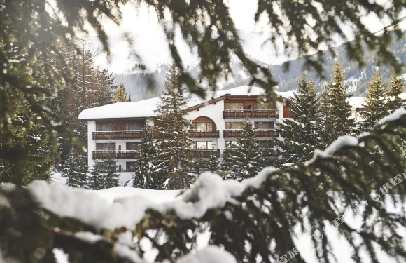 達沃斯瓦德胡斯瑞士品質酒店