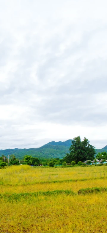 รูปภาพของสิริตา