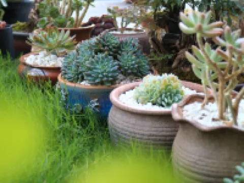 Wushe Folk Custom Inn Hotel a Zigui