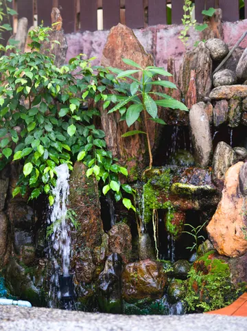 รูปภาพของปริภัส เอ็กเพลส ป่าตอง