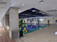 德州皇明太阳能低碳商务酒店 - 室内游泳池
