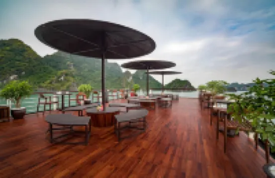 Orchid Trendy Cruise