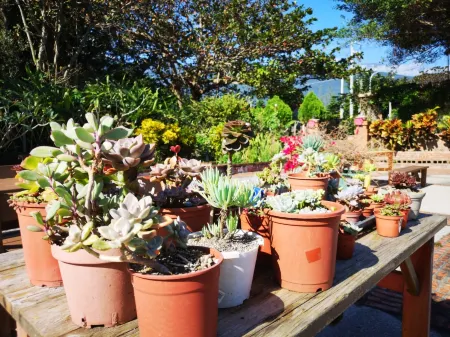 Natural High B&B