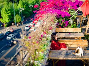 Dream Tour Rooftop Garden International Youth Hostel (Chengdu Wuhou Temple Jinli Branch)