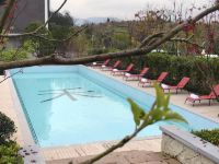 天台禾酒店 - 室外游泳池