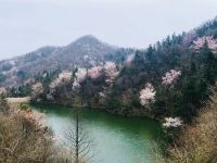 信阳桃花源酒店 - 酒店附近