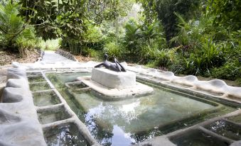 Wareerak Hot Spring & Wellness