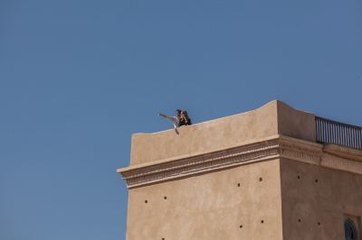Hotel Exterior Club Med Marrakech la Palmeraie Photo