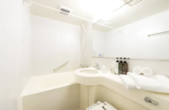 Hotel Villa Fontaine Tokyo-Nihombashi Hakozaki