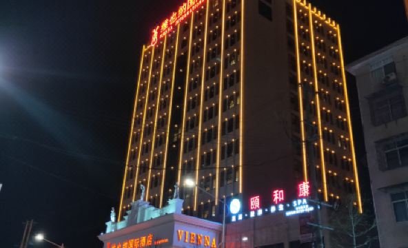 Vienna International Hotel (Taoyuan Longba) - Housity
