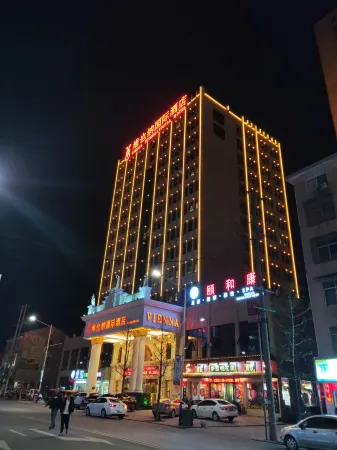 Vienna International Hotel (Taoyuan Longba) Отели в г. Таоюань