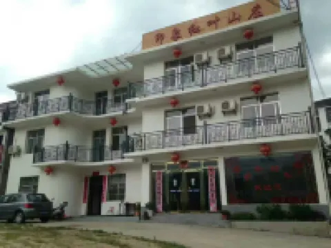 Luotian Impression Hongye Mountain Villa