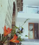 Dali Ruoxianju Bed and Breakfast (Foreigner Street Branch) Hotels in Dali Ancient City