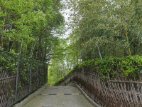 上海崇明欢宿高家庄度假生态园 - 公共区域