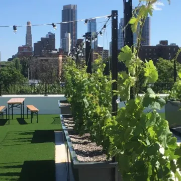 EVEN Hotel BROOKLYN by IHG Отели рядом с достопримечательностью «Союз Холл»