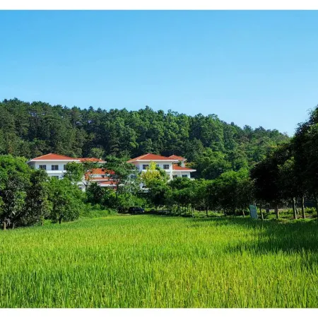 Yunfu Guest House