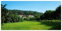 Yunfu Guest House - Mountain view