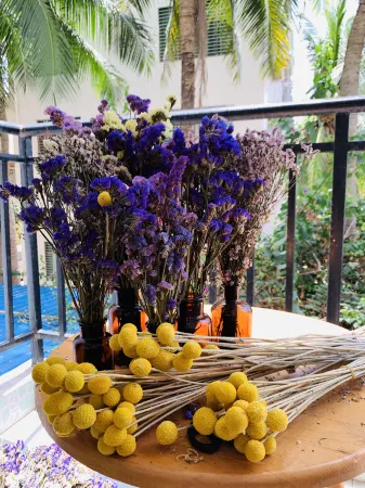 Qingleyuan Youth Hostel