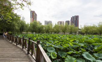 Chengdu Sviden Boutique Apartment (Qingbaijiang Dawan Middle School wanda plaza Branch)