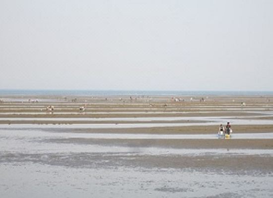 아리스톤 인 간다 기타큐슈 에어포트(Ariston Inn Kanda Kitakyusyu Airport)_5