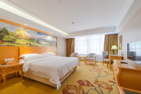 Vienna Hotel (Jiangmen Yingbin Avenue)