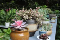 Conglai Yard Inn (Hangzhou West Lake Scenic Area) Các khách sạn ở Trung tâm thể thao Hoàng Long