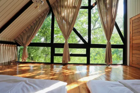 黃色枕頭鄉村飯店