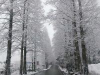 都江堰虹口山景豪宜温泉酒店 - 酒店附近