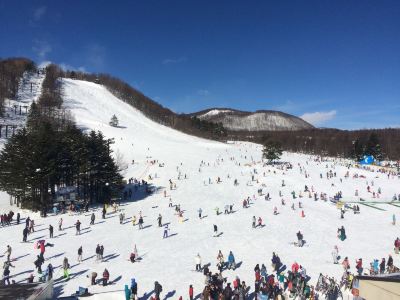 ホテル周辺 草津ナウリゾートホテルの写真