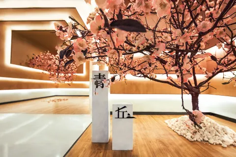 青丘桃林ホテル（大連星海広場）
