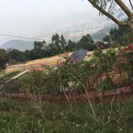 Anxi Qinmei ecological farm