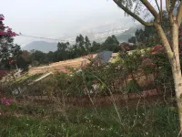 Anxi Qinmei ecological farm