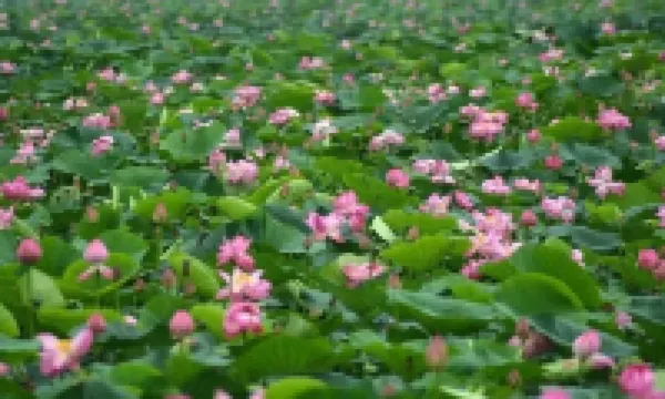 Hulin River View Hotel