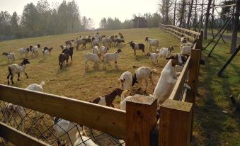 Longshan Shangxin Valley Resort