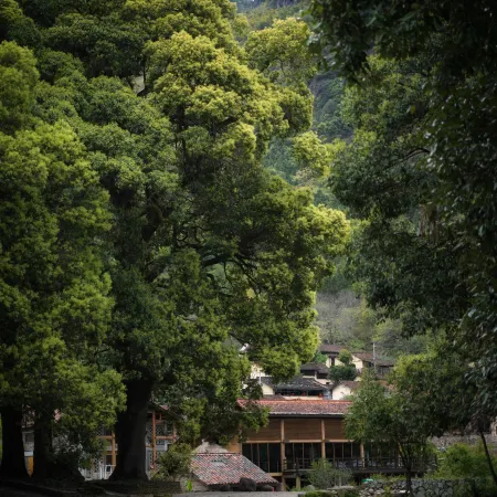 Leliving Qishan Xiayin
