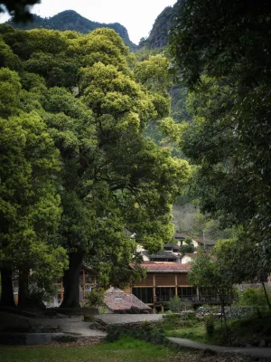 Leliving Qishan Xiayin - 4-Star