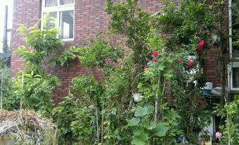 Han Lu Ching Bed and Breakfast