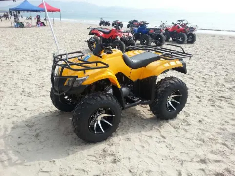 Lion Island Holiday Hotel (Shuangyuewan) Photos