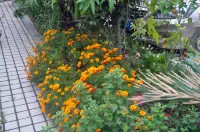 BAILONGJIANGHOTEL Hotels in Wen County