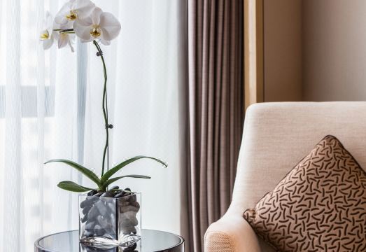 풀만 웨이팡 외관 및 로비