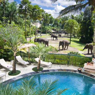 Mason Elephant Lodge Hotels near Mason Elephant Park