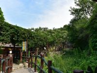北京水岸山吧度假村 - 花园