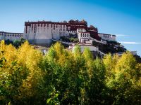 西藏木雅大酒店 - 酒店附近