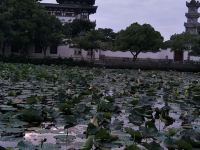 普陀山吉祥居客栈