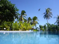 Island View Beachfront Resort - Ocean View