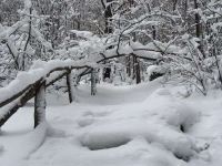 雪乡暮雪阁客栈 - 酒店附近