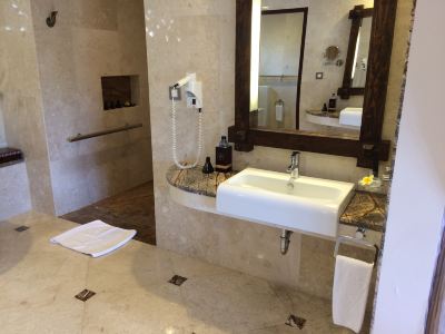 その他 ヴァイスロイバリの写真