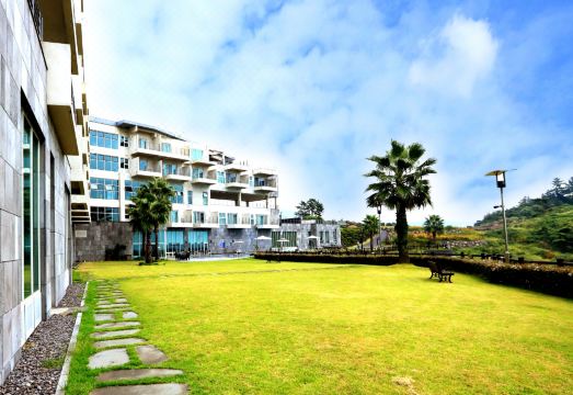 1. 와이리조트 제주..