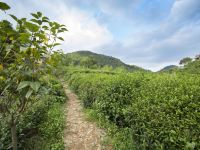 莫干山岭上茗墅 - 酒店附近