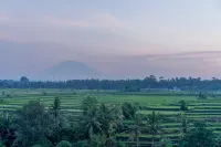 Seres Springs Resort & Spa, Singakerta - Mountain view
